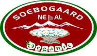 Kakani articles